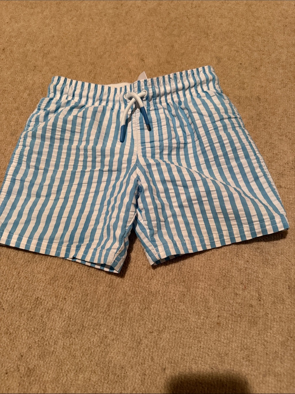 Cat & Jack White and blue stripe Mesh Lined Swim Shorts
